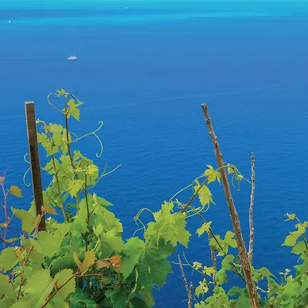 Apartman Apartment Vnazora N-524 Orebic